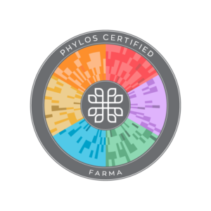 phylos certified